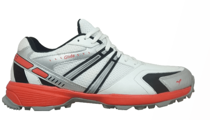 SEGA Glide Cricket Shoes - KIBI SPORTS