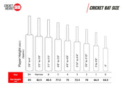 SS VA-900 Ruby Kashmir Willow Cricket Bat | KIBI SPORTS