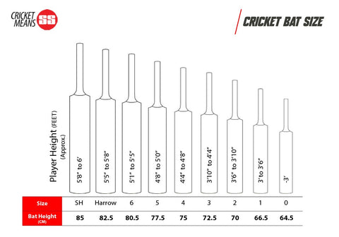 SS SKY Flicker Kashmir Willow Cricket Bat | KIBI SPORTS