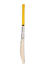 SS Sangakara Kashmir Willow Cricket Bat | KIBI SPORTS