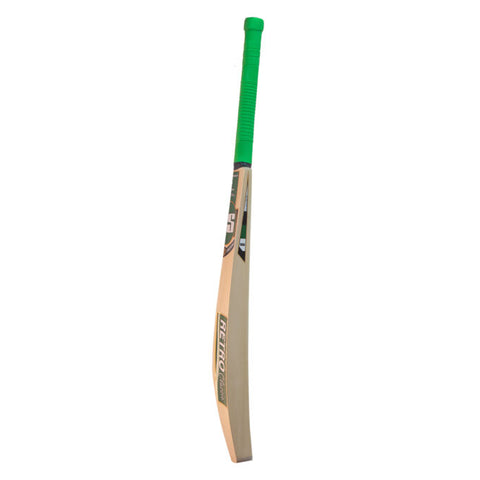 SS VA-900 Solitaire Kashmir Willow Cricket Bat – SH | KIBI SPORTS