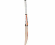 Sf jumbo 800 cricket bat | KIBI SPORTS - KIBI SPORTS