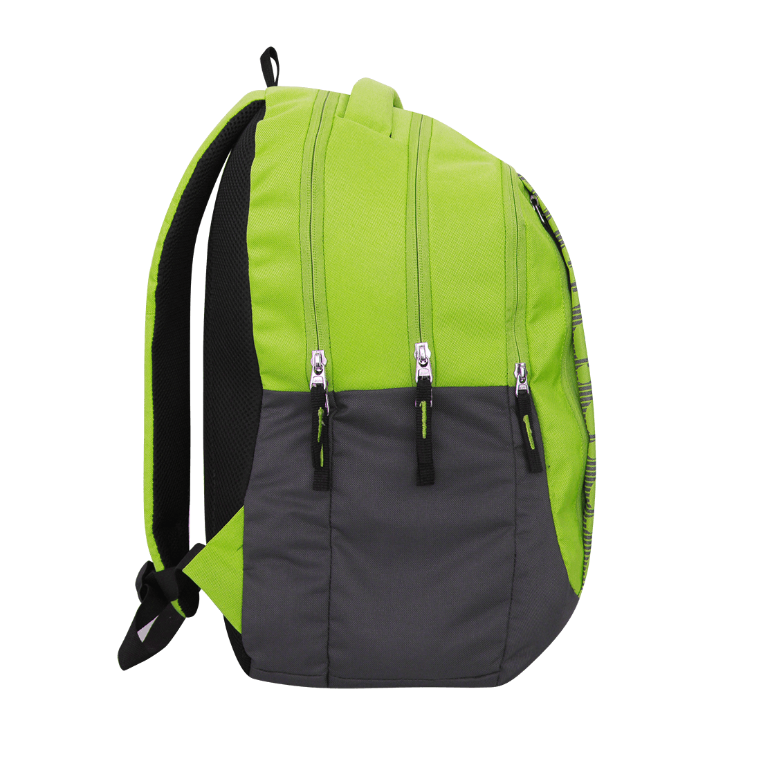 Nivia school bags online