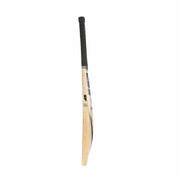 Sf almandus 12000 cricket bat | KIBI SPORTS - KIBI SPORTS