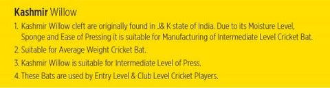 COSCO Thunder Kashmir Willow Cricket Bat | KIBI Sports - KIBI SPORTS