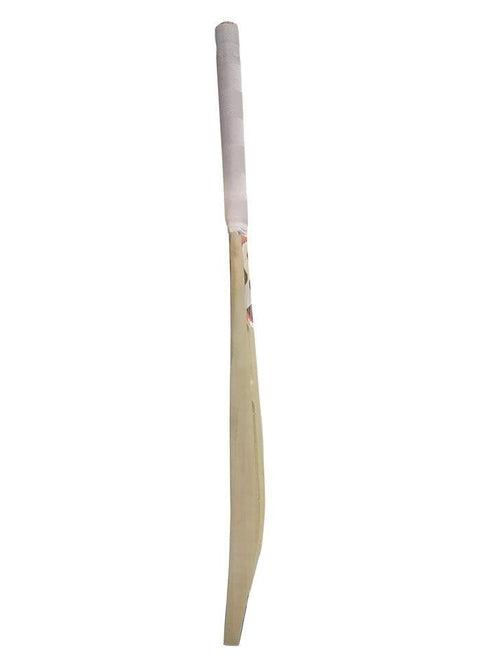 SG Kashmir Willow Cricket Bat (Tennis ball) T-1000 - KIBI SPORTS