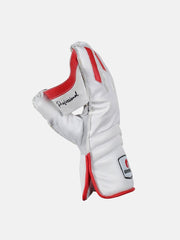 Omtex Professional Wicket Keeping Gloves | Cricket | KIBI Sports - KIBI SPORTS